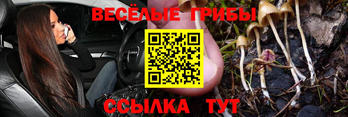 Галлюциногенные грибы Ковров