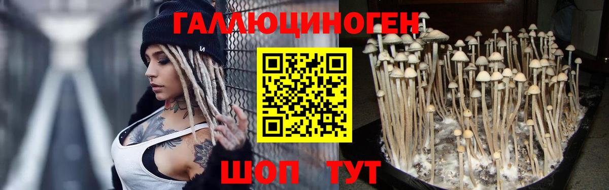 как найти наркотики  Галлюциногенные грибы ЛСД  Вход с VPN  Ковров 